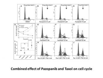 Pazopanib HCl