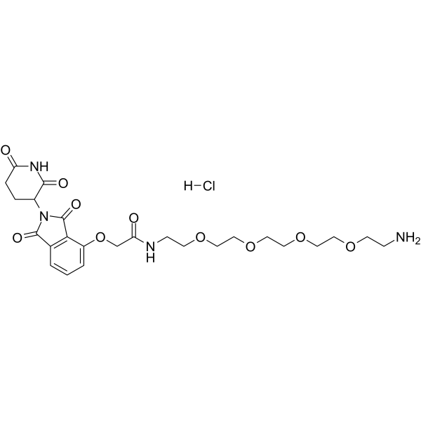 Thalidomide-O-amido-PEG4-C2-NH2 HCl