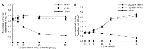 KN-92 Hydrochloride