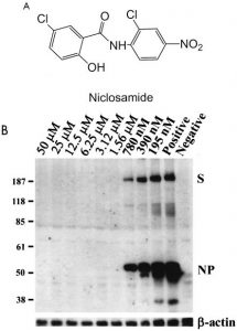 NICLOSAMIDE