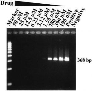 NICLOSAMIDE