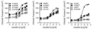 Ivacaftor hydrate