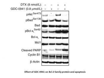 Pictilisib (GDC-0941) mesylate