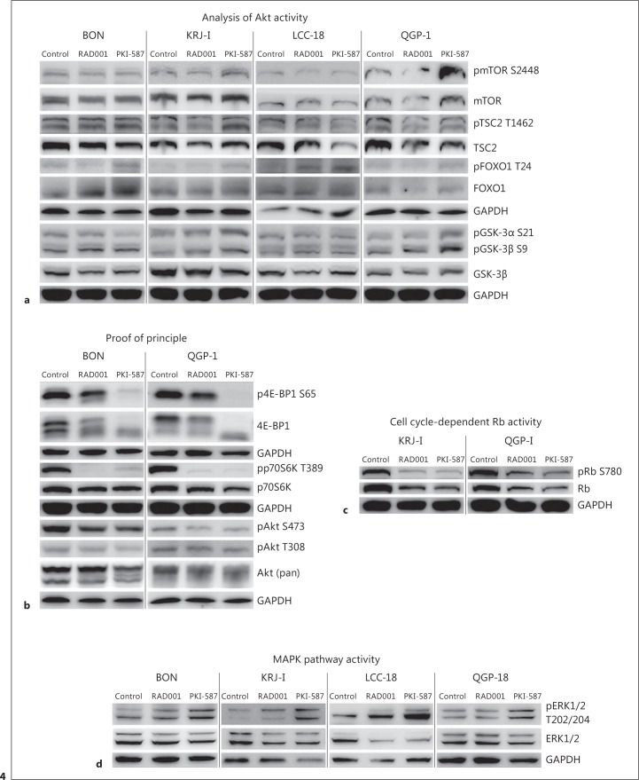 Gedatolisib (PF-05212384, PKI-587)