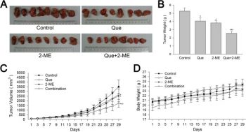 Quercetin