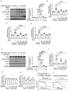 Miransertib (ARQ 092)