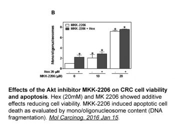 MK-2206 2HCl