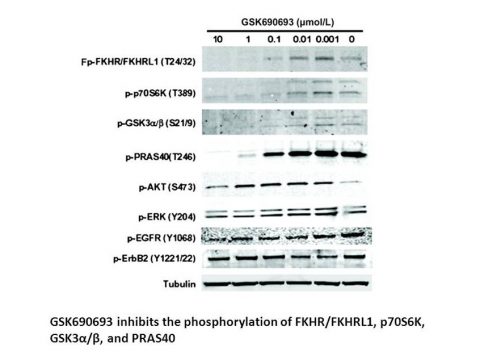 GSK690693