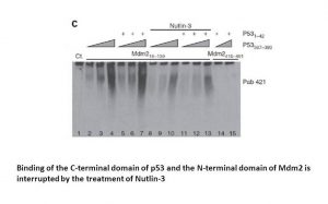 Nutlin-3a