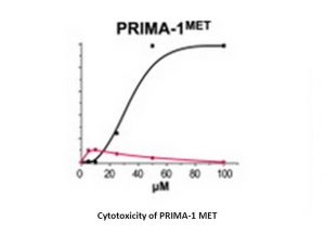 APR-246 (PRIMA-1MET)