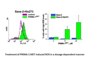 APR-246 (PRIMA-1MET)