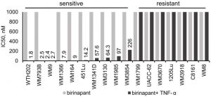 Birinapant	