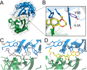 N-deacetylated BMS-202