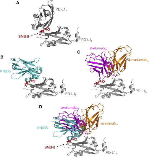 PD-1/PD-L1 inhibitor 2