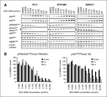 Ipatasertib (GDC-0068)