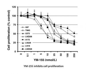 YM155 (Sepantronium Bromide)