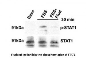 Fludarabine