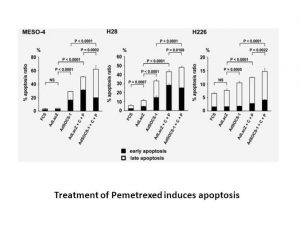 Pemetrexed Disodium Hydrate