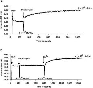 Daptomycin