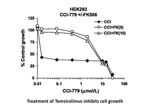 Temsirolimus (CCI-779, NSC 683864)