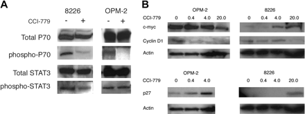 Temsirolimus (CCI-779, NSC 683864)