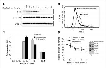 Ridaforolimus (Deforolimus, MK-8669)