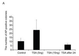 Trichostatin A (TSA)