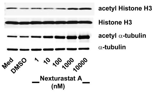 Nexturastat A