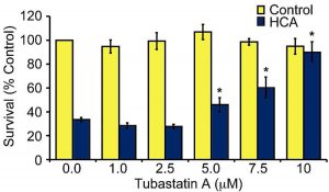 Tubastatin A HCl	