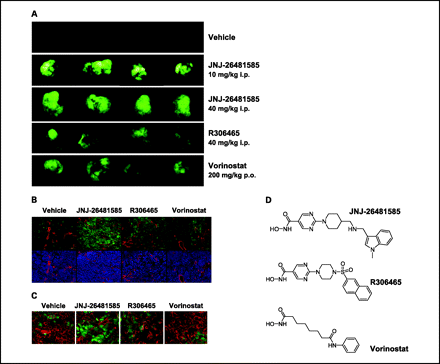 Quisinostat (JNJ-26481585)