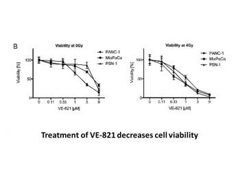 VE-821