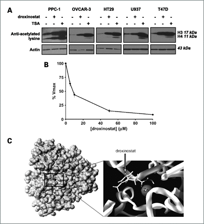 Droxinostat