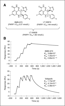 Talazoparib (BMN 673)