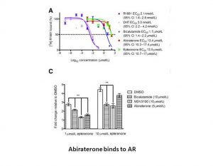 Abiraterone Acetate