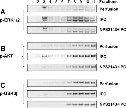 NPS-2143