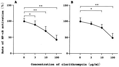 Clarithromycin