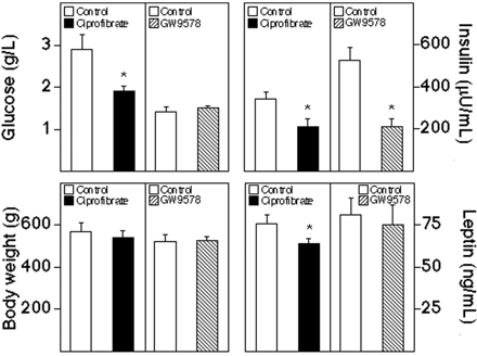 Ciprofibrate