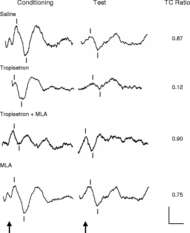 Tropisetron HCl