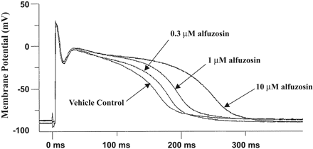 Alfuzosin HCl