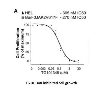 Fedratinib (SAR302503, TG101348)