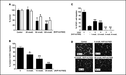 Luminespib (AUY-922, NVP-AUY922)