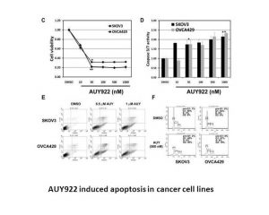 Luminespib (AUY-922, NVP-AUY922)