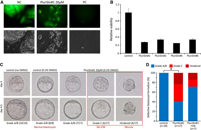 PluriSIn-1 (NSC 14613)