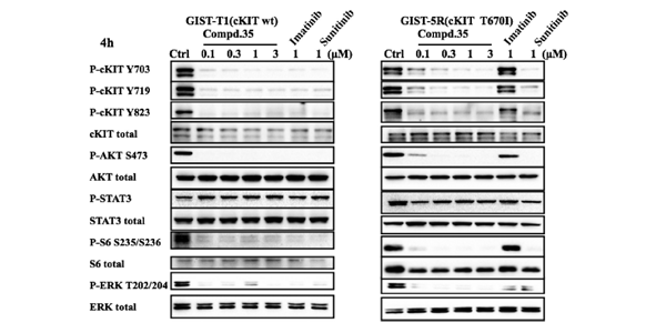 Imatinib Mesylate