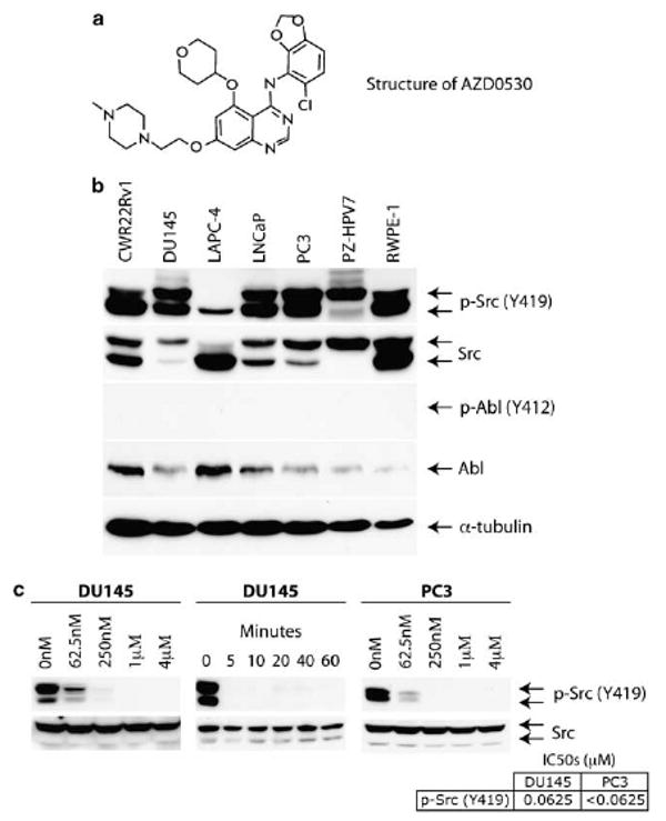 Saracatinib (AZD0530)