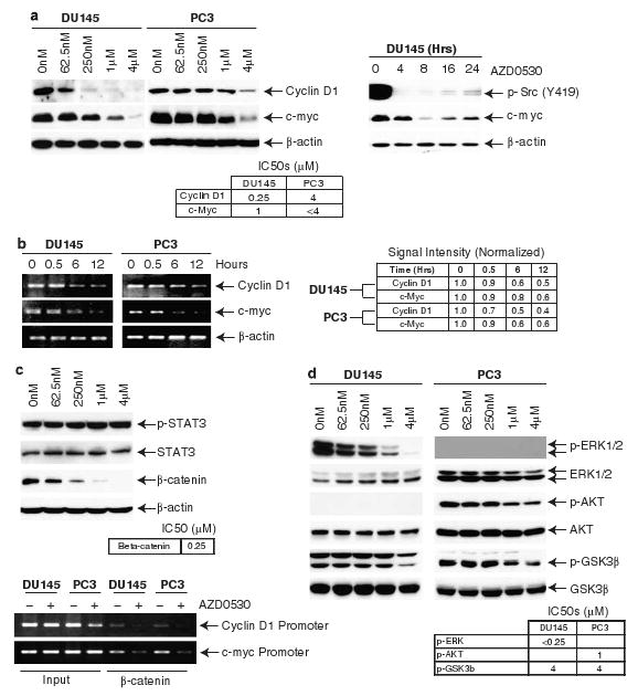 Saracatinib (AZD0530)