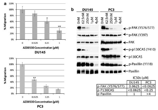 Saracatinib (AZD0530)