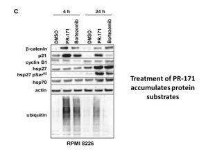 CARFILZOMIB (PR-171)