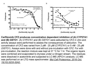 CARFILZOMIB (PR-171)