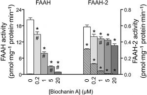 Biochanin A